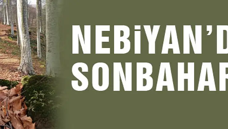 Nebiyan'da sonbahar güzelliği