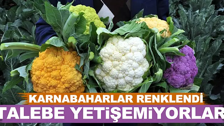 Karnabaharlar renklendi, talebe yetişemiyorlar