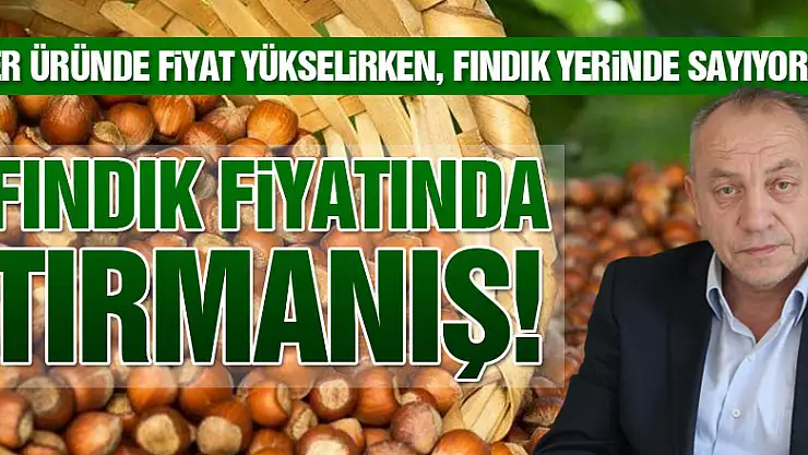 FINDIKTA TIRMANIŞ BAŞLADI