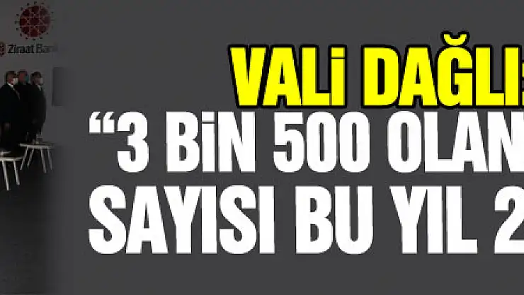 Vali Dağlı: '3 bin 500 olan KADES indirme sayısı bu yıl 29 bine ulaştı'