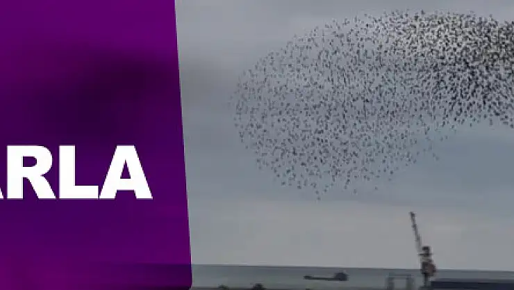 Samsun semaları sığırcıklarla şenlendi