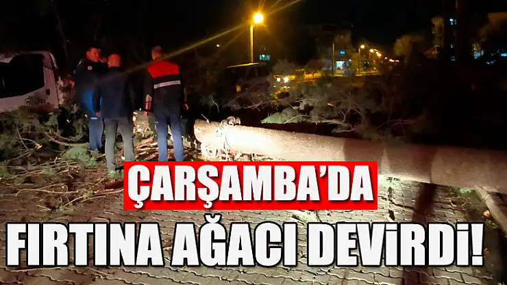 Fırtınadan devrilen ağaç kamyonetin üzerine düştü 