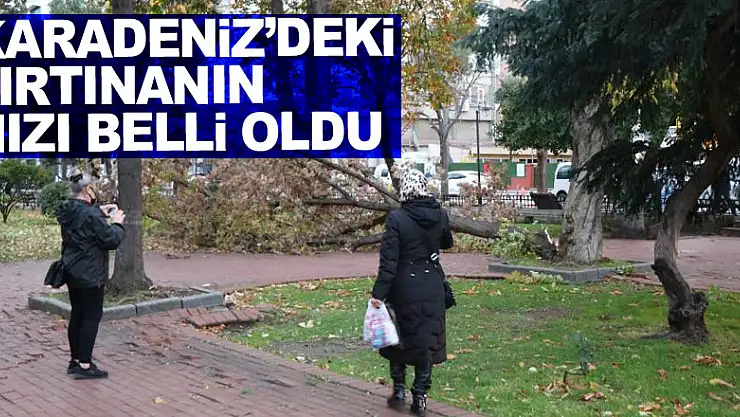Karadeniz'deki fırtınanın hızı belli oldu: 150,1 km'ye ulaştı