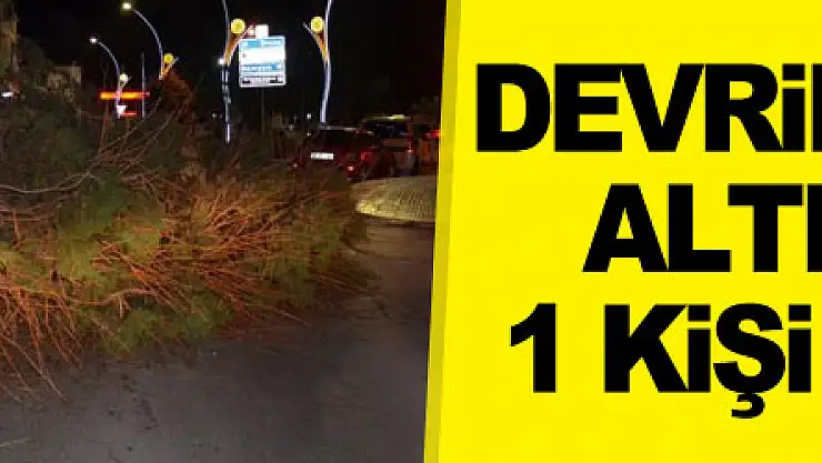 Devrilen ağacın altında kalan 1 kişi yaralandı
