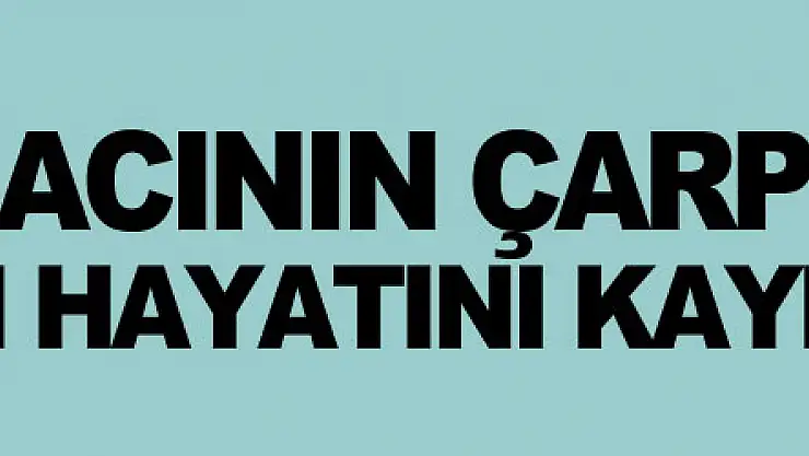 Ekmek aracının çarptığı yaşlı kadın hayatını kaybetti