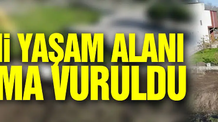 Terme'nin yeni yaşam alanı için ilk kazma vuruldu