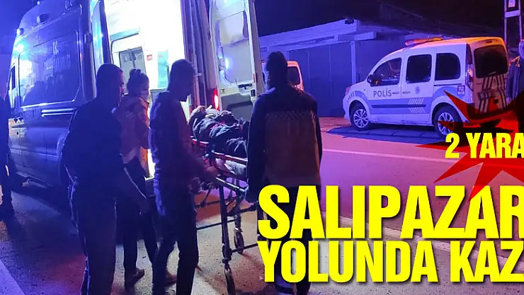 SALIPAZARI YOLUNDA KAZA: 2 YARALI