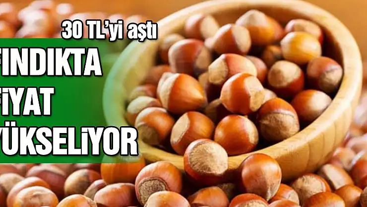 Fındık fiyatı yükselişini sürdürüyor