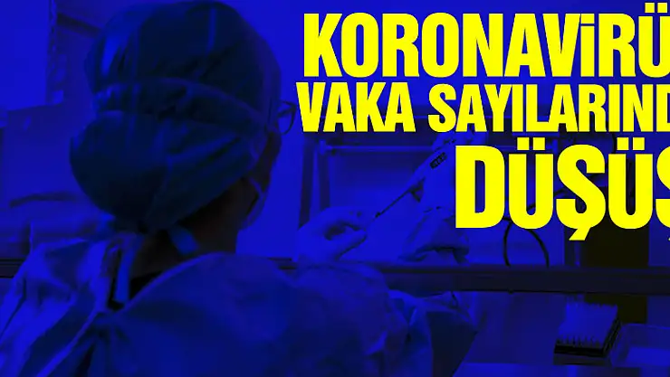 Son 24 saatte korona virüsten 195 kişi hayatını kaybetti