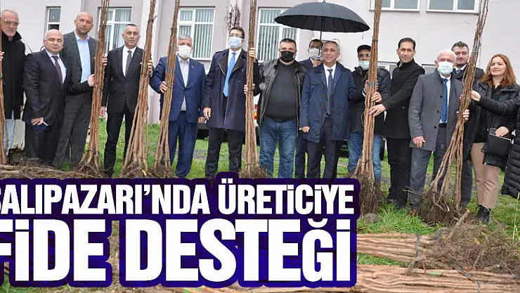 Salıpazarı'nda Üreticiye Fide Desteği
