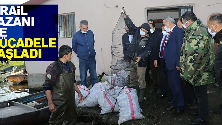 İsrail sazanı ile mücadele başladı