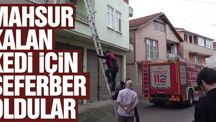 Mahsur kalan kedi için polis ve itfaiye ekipleri seferber oldu
