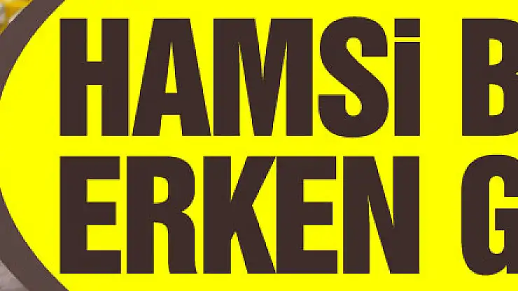 Hamsi bu sene erken göç etti