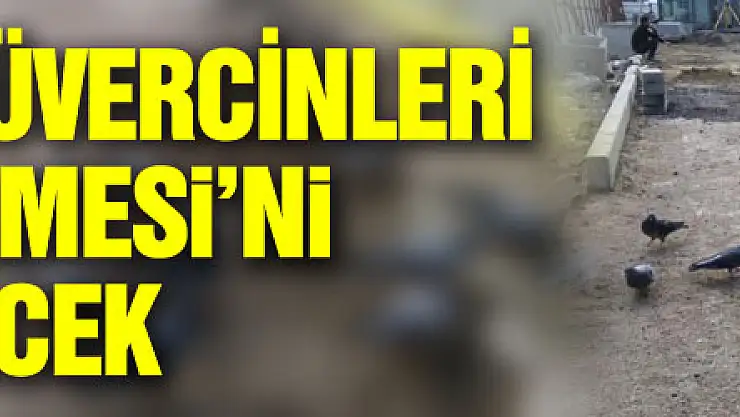 Subaşı'nın güvercinleri Hamidiye Çeşmesi'ni güzelleştirecek