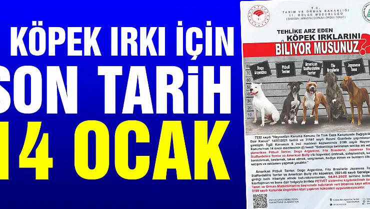 Tehlike arz eden köpek ırklarında kayıtlar için son tarih 14 Ocak
