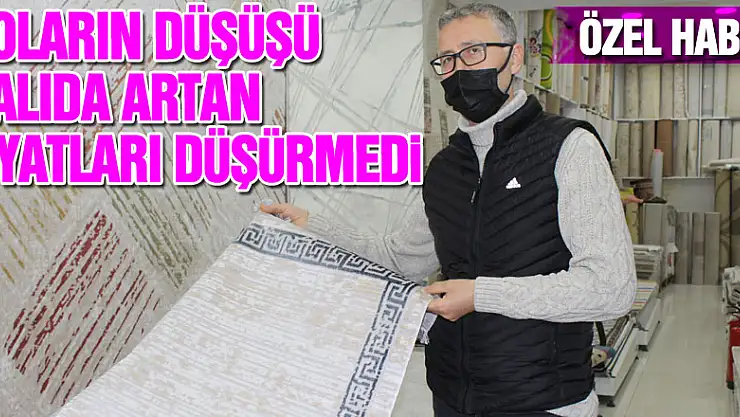 DOLARIN DÜŞÜŞÜ HALIDA ARTAN FİYATLARI DÜŞÜRMEDİ