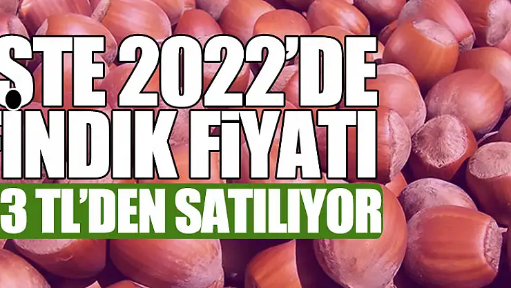 İşte 2022'de fındık fiyatı