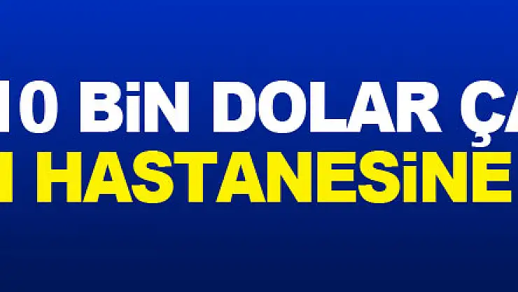 Bankadan 10 bin dolar çalan kadın ruh sağlığı hastanesine sevk edildi
