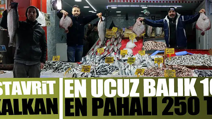 Karadeniz'de en ucuz balığın kilosu 10, en pahalı balığın kilosu 250 TL