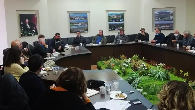 Arı ölümlerine çözüm arayışı