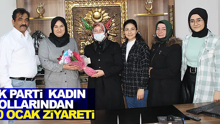 AK Parti'den Kadın Kollarından 10 Ocak ziyareti 