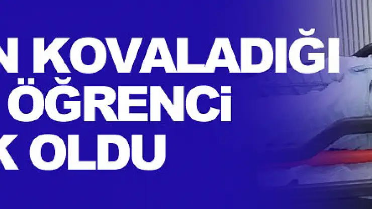 Köpeklerin kovaladığı üniversite öğrencisi duvardan atladı, hastanelik oldu