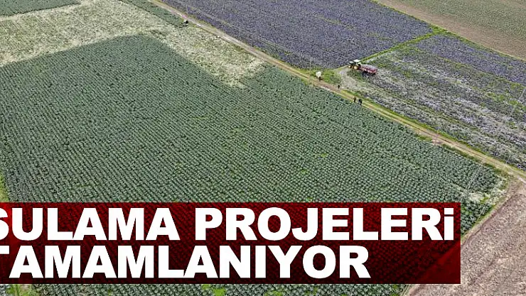 Bafra ve Çarşamba Ovalarını sulayacak projeler tamamlanıyor