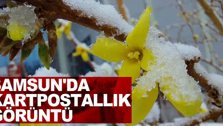 Samsun'da  kartpostallık görüntü