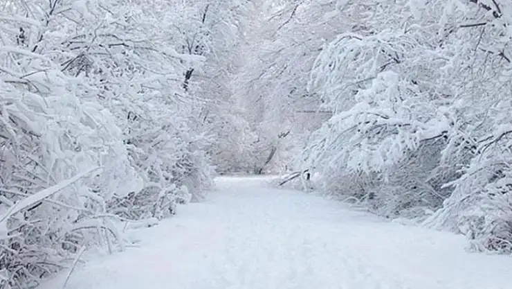 Samsun ve çevre illerde kar nedeniyle 1050 yerleşim birimine ulaşılamıyor