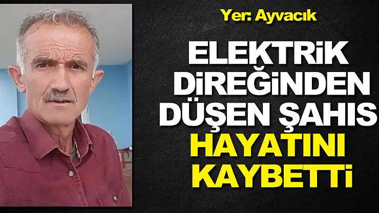 Elektrik direğinden düşen şahıs hayatını kaybetti