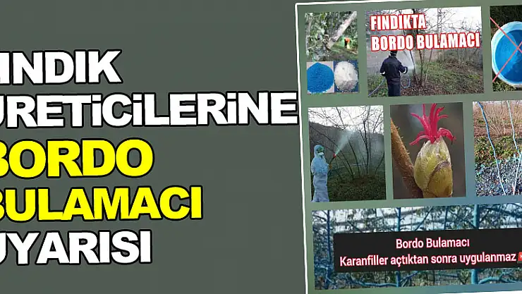 Fındık Üreticilerine Bordo Bulamacı Uyarısı