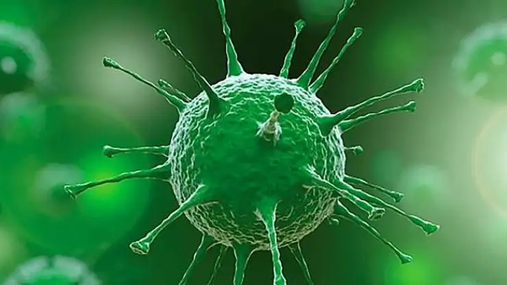 Bilim Kurulu Üyesi Prof. Dr. Şener: 'Sömestr'da vaka sayıları pik yapacak'