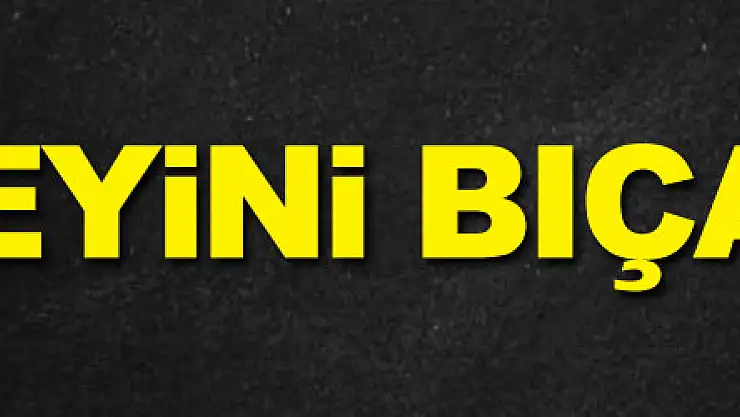 Ağabeyini bıçakladı