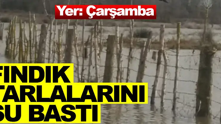 FINDIK TARLALARINI SU BASTI