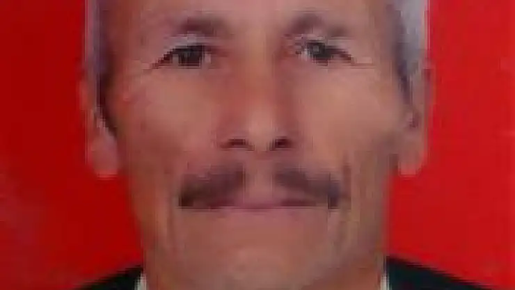 Üzerine Ağaç Düşen Orman İşçisi öldü