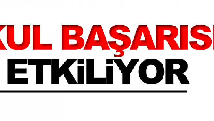 alerji okul başarısını olumsuz etkiliyor 