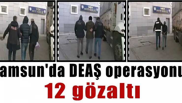 Samsun'da DEAŞ operasyonu: 12 gözaltı
