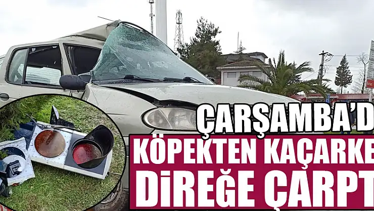 KÖPEKTEN KAÇARKEN DİREĞE ÇARPTI