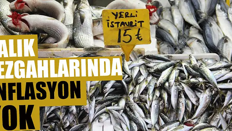 Balık tezgahlarında enflasyon yok: 3 balık çeşidi 15 lira