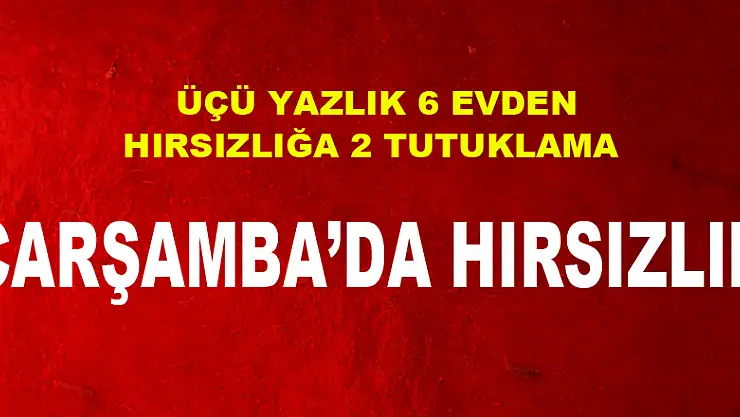 Çarşamba'da üçü yazlık 6 evden hırsızlık yapan 2 kişi tutuklandı