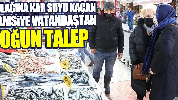 Kulağına kar suyu kaçan hamsiye vatandaştan yoğun talep
