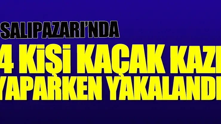 Samsun'da 4 kişi kaçak kazı yaparken yakalandı