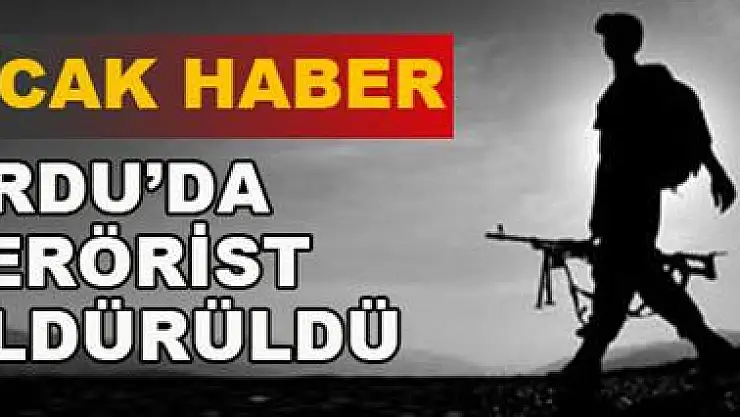 Ordu'da bir terörist öldürüldü