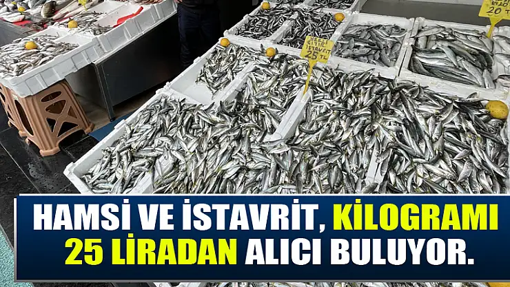 Samsun'da hamsi ve istavritin kilogramı 25 liradan satılıyor