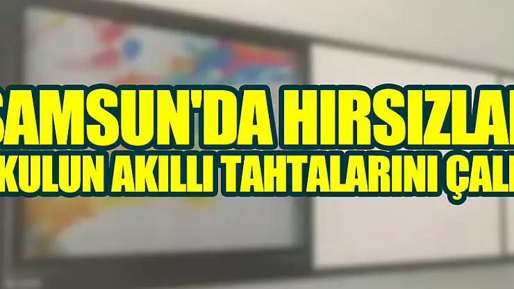 Samsun'da hırsızlar okulun akıllı tahtalarını çaldı