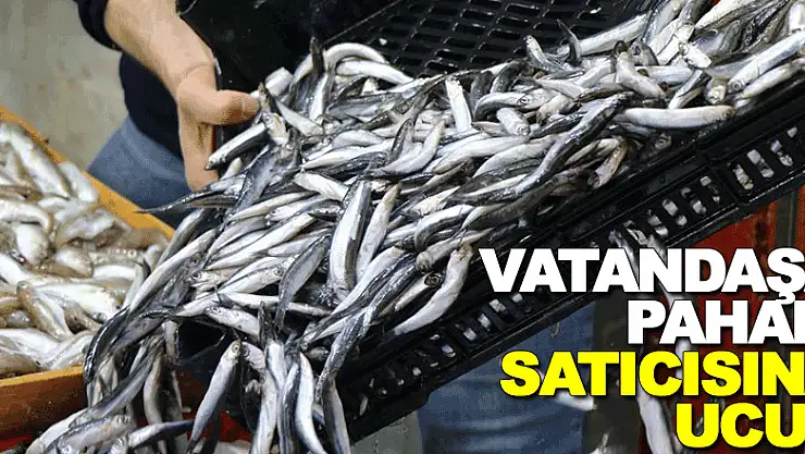 Balık vatandaşa pahalı satıcısına ucuz geldi