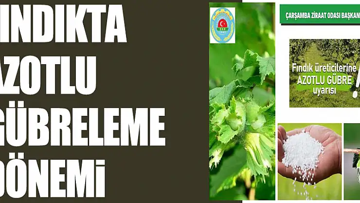 FINDIKTA AZOTLU GÜBRELEME DÖNEMİ