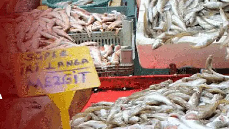 Kırmızı ve beyaz et fiyatları balıkçılara yaradı