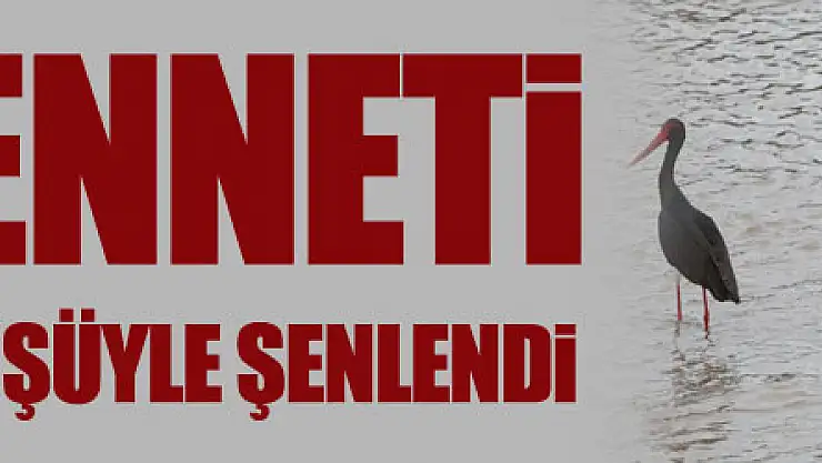 Kızılırmak Deltası Kuş Cenneti leyleklerin dönüşüyle şenlendi