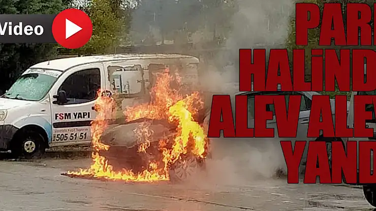 Samsun'da otomobilin park halindeyken alev alması güvenlik kamerasında